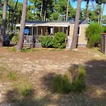Campingplatz - Terrasse Xxl Acces Ocean 6 Pers Equipe Dans 5 Etoiles *